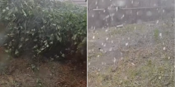 Culturi distruse de grindină în doar 20 de minute