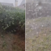 Culturi distruse de grindină în doar 20 de minute