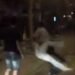 Bătaie într-un club din Târgu Jiu
