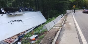 Camion cu carcase de porc, răsturnat