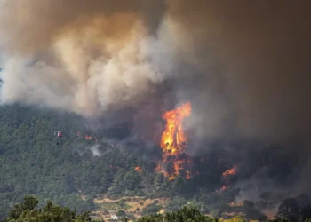 Urgență națională în două țări din cauza incendiilor