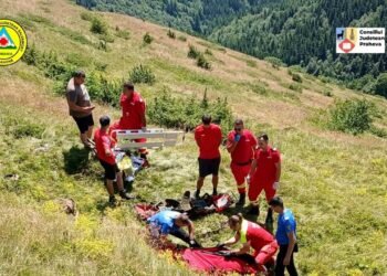 A murit la cules de afine