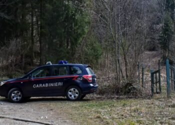Octogenari, pericol public. Doi bicicliști și doi polițiști au căzut victime