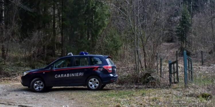 Octogenari, pericol public. Doi bicicliști și doi polițiști au căzut victime