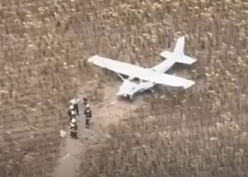 Alertă în Ungaria: Un tânăr a furat un avion și a zburat spre centrala nucleară de la Paks