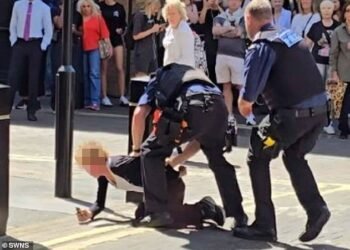 Femeia care a înjunghiat patru bărbați în Londra ar fi româncă