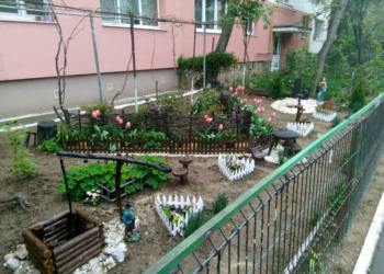 Scandal de pomină pentru câteva flori, la Târgu Jiu! O femeie și-a amenințat vecina cu sapa: „Îți dau în cap!”