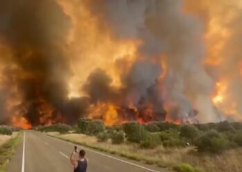 Mii de hectare de pădure distruse de incendiu