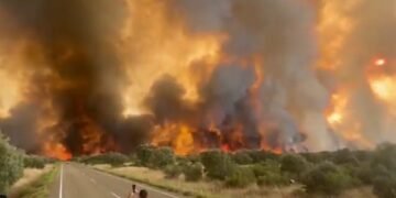 Mii de hectare de pădure distruse de incendiu