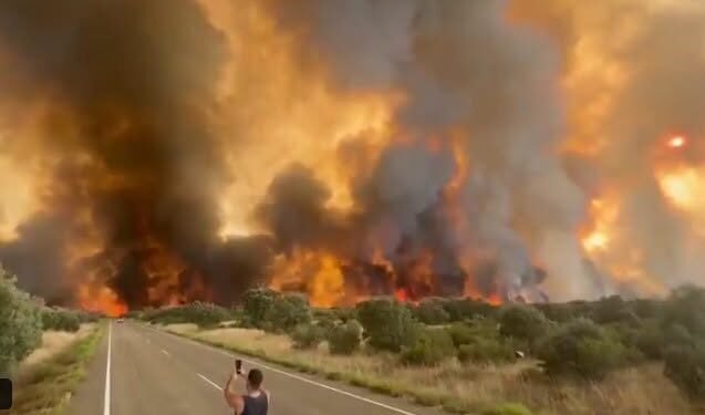 Mii de hectare de pădure distruse de incendiu