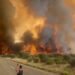 Mii de hectare de pădure distruse de incendiu