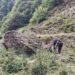 Un tânăr ucrainean fuge de război. Epuizat și deshidratat după trei zile de mers
