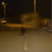 Ursul a luat-o la pas prin Polata! Un localnic l-a urmărit cu mașina
