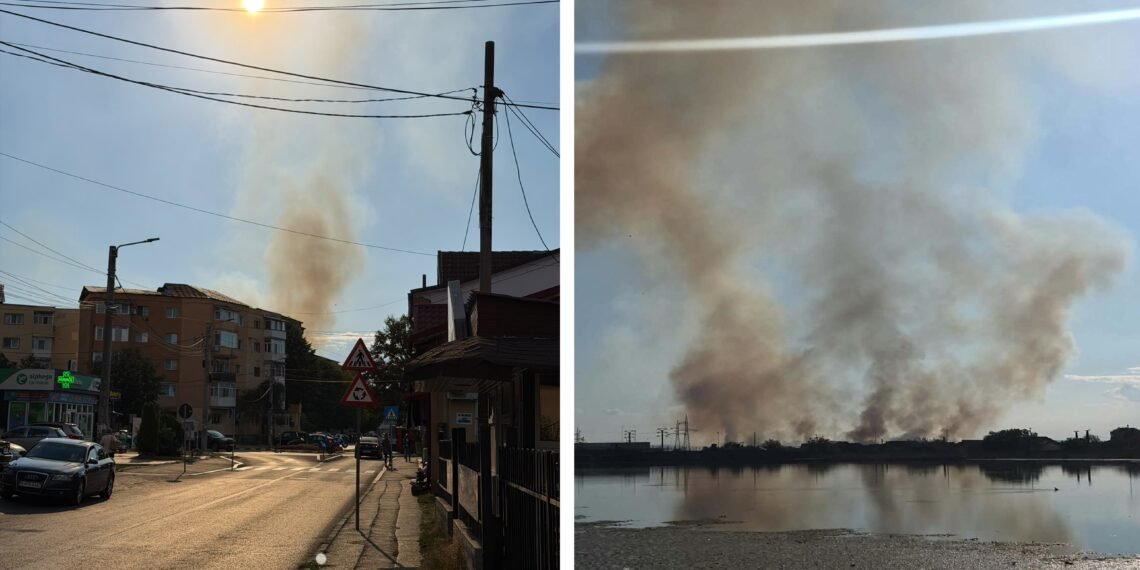 Incendiu uriaș de vegetație la marginea Târgu Jiului. Pompierii intervin cu patru autospeciale