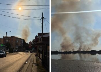 Incendiu uriaș de vegetație la marginea Târgu Jiului. Pompierii intervin cu patru autospeciale
