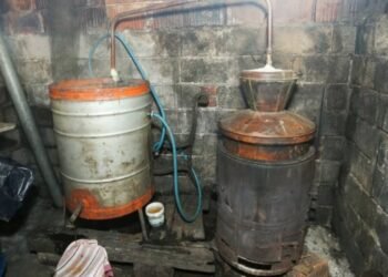 Acciză pe țuica de prune făcută de români, acasă