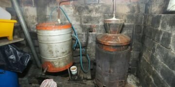 Acciză pe țuica de prune făcută de români, acasă