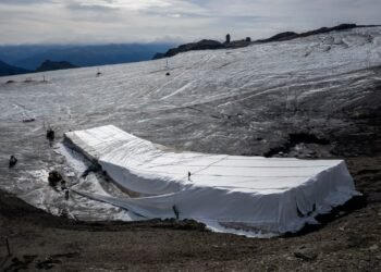 Lână de oaie pentru a combate încălzirea globală