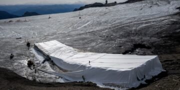 Lână de oaie pentru a combate încălzirea globală