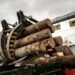 Transporturi de lemne, făcute pe numele unui decedat