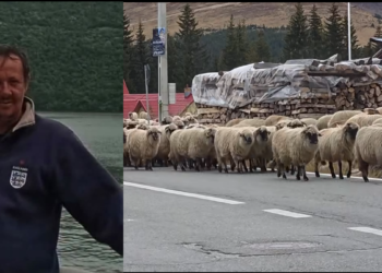 Tragedie la Rânca! Un cioban de 45 de ani a murit în timp ce cobora oile din munte. A fost găsit fără suflare în aer liber