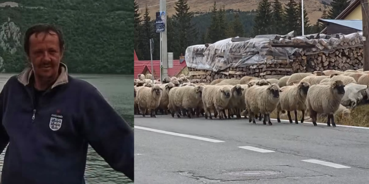 Tragedie la Rânca! Un cioban de 45 de ani a murit în timp ce cobora oile din munte. A fost găsit fără suflare în aer liber