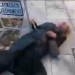 Jurnalistă trântită la pământ de un agent al Serviciului Naţional de Protecţie