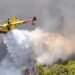 Europa ar putea comanda până la 50 de avioane Canadair pentru stingerea incendiilor
