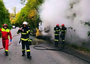 Scene de panică pe DN 687A! Un buldoexcavator a luat foc din mers, flăcările amenințau pădurea