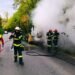 Scene de panică pe DN 687A! Un buldoexcavator a luat foc din mers, flăcările amenințau pădurea