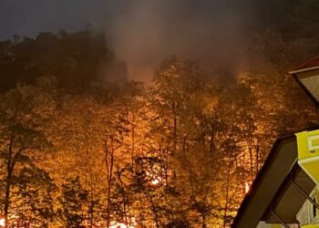Agent Green a depus astăzi denunțul penal pentru incendiile din Domogled