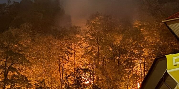 Agent Green a depus astăzi denunțul penal pentru incendiile din Domogled