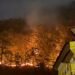 Agent Green a depus astăzi denunțul penal pentru incendiile din Domogled